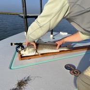 IMG_5897.jpg